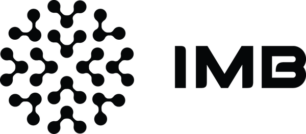 IMB - Instituti i Modelimit ne Biznes IMB - Instituti i Modelimit ne Biznes
